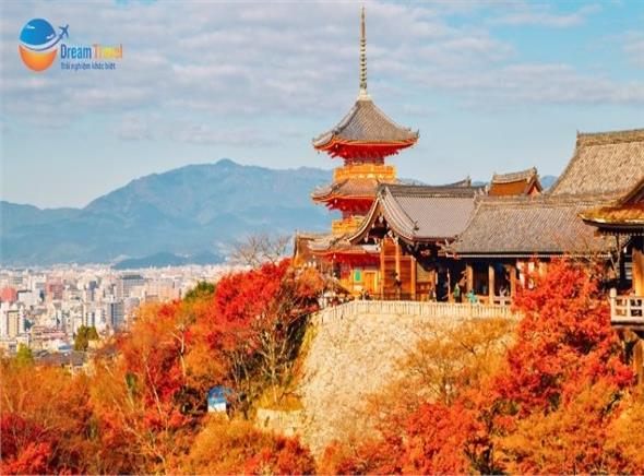 [HCM] Tour Nhật Bản 6N5Đ: Hành Trình Vàng Mùa Thu